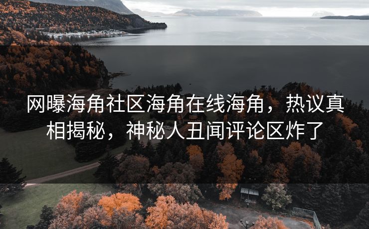 网曝海角社区海角在线海角，热议真相揭秘，神秘人丑闻评论区炸了