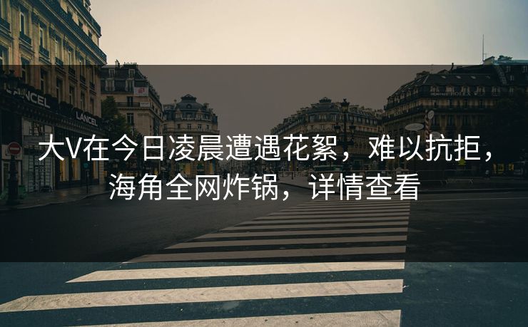 大V在今日凌晨遭遇花絮，难以抗拒，海角全网炸锅，详情查看