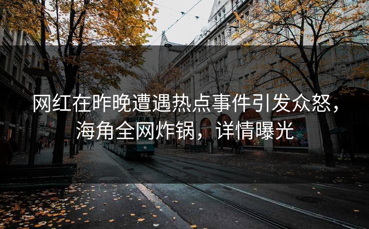 网红在昨晚遭遇热点事件引发众怒，海角全网炸锅，详情曝光
