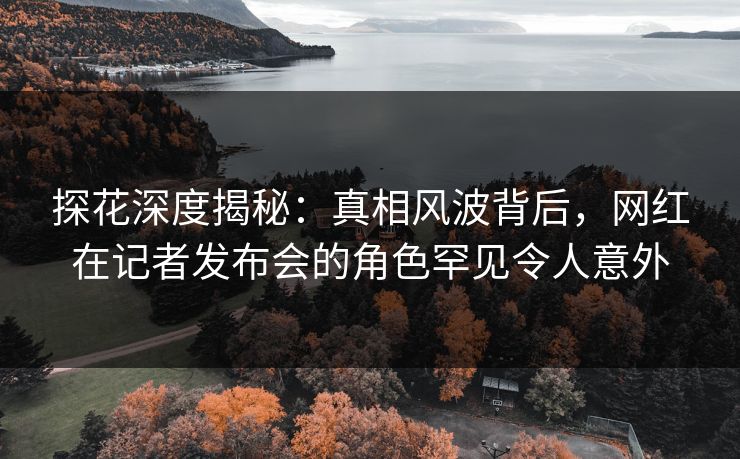 探花深度揭秘：真相风波背后，网红在记者发布会的角色罕见令人意外