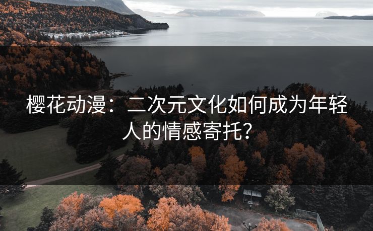 樱花动漫：二次元文化如何成为年轻人的情感寄托？