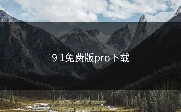 9 1免费版pro下载