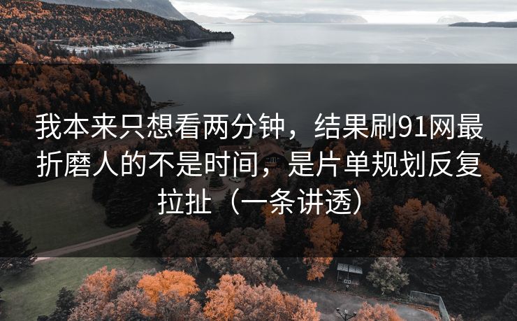 我本来只想看两分钟，结果刷91网最折磨人的不是时间，是片单规划反复拉扯（一条讲透）